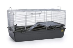 cat proof hamster cage