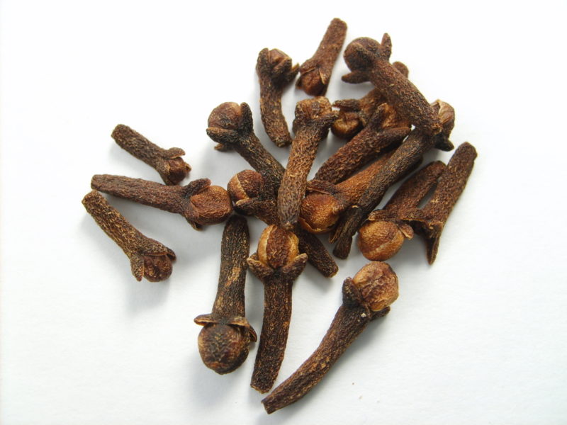 Can Dogs Eat Cloves? [ANSWERED] | ThePawsAndClaws.com