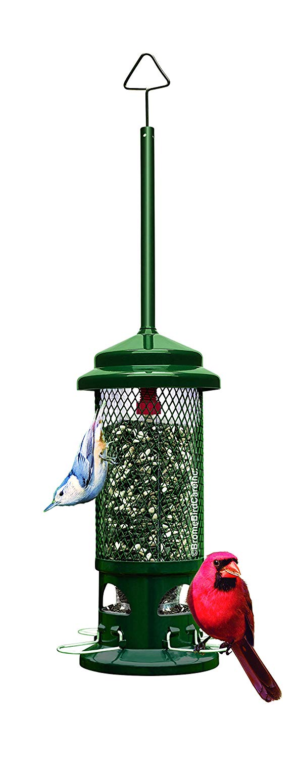 What’s the Best BearProof Bird Feeder? (Reviews 2024