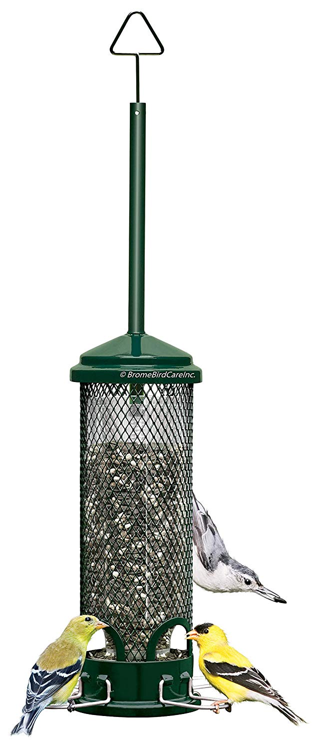 What’s the Best PigeonProof Bird Feeder? (Reviews2024