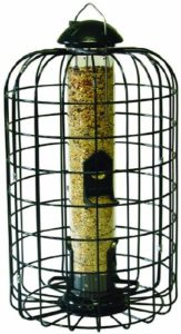 Stokes Select 38002 Tube Feeder is the best dove proof bird feeder