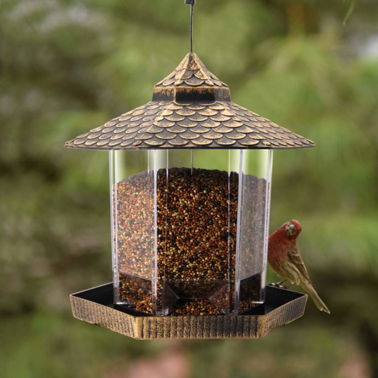 What’s the Best Dove-Proof Bird Feeder? (Reviews-2024 ...