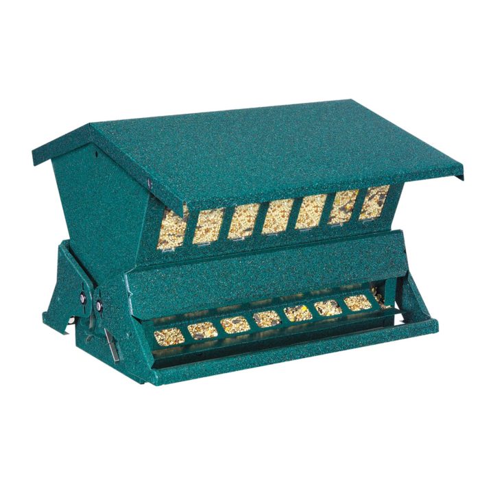 What’s the Best PigeonProof Bird Feeder? (Reviews2025)