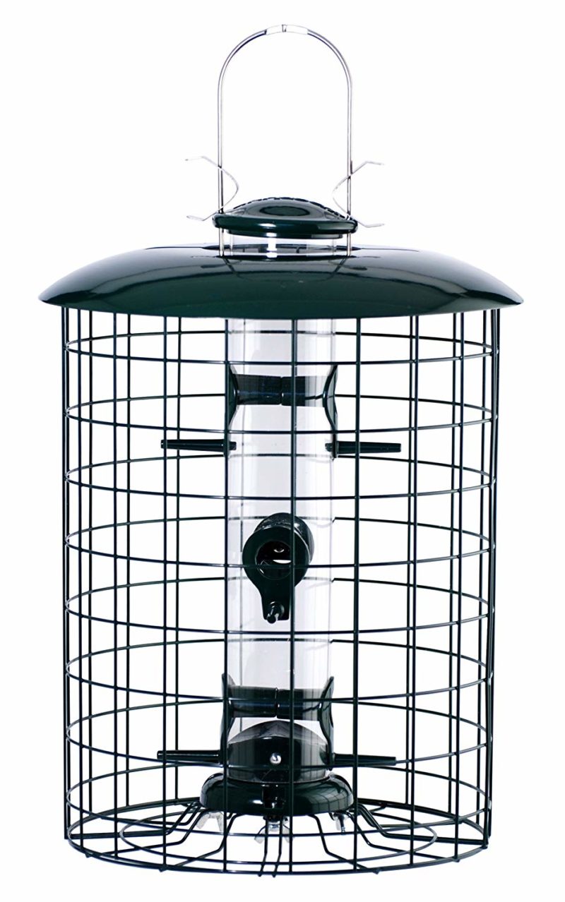 What’s the Best PigeonProof Bird Feeder? (Reviews2024