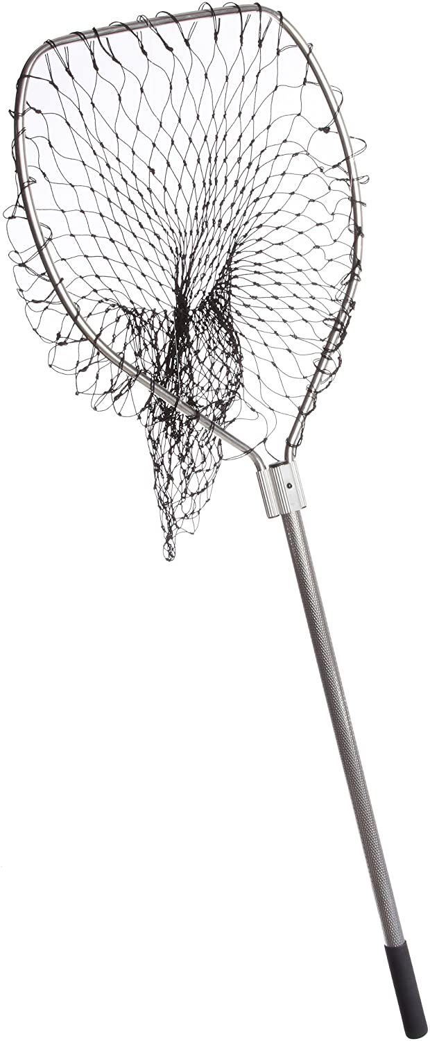 What’s the Best Salmon Landing Net? (Reviews2024)